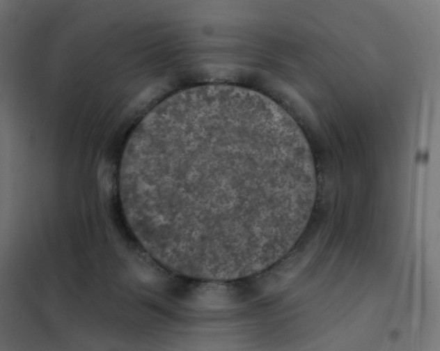 X0000102040123200808081844