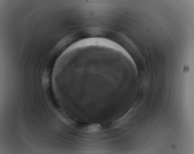 X0000102040124200808081844