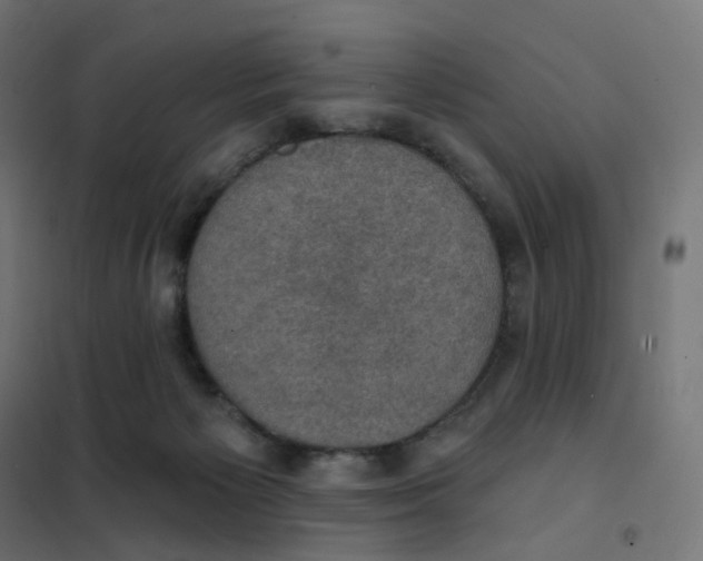 X0000102040125200808081844