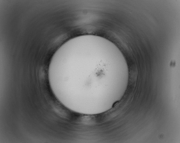 X0000102040126200808081844