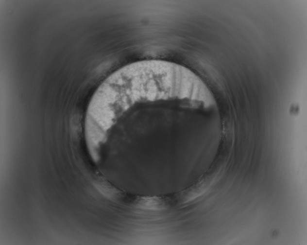 X0000102040127200808081844