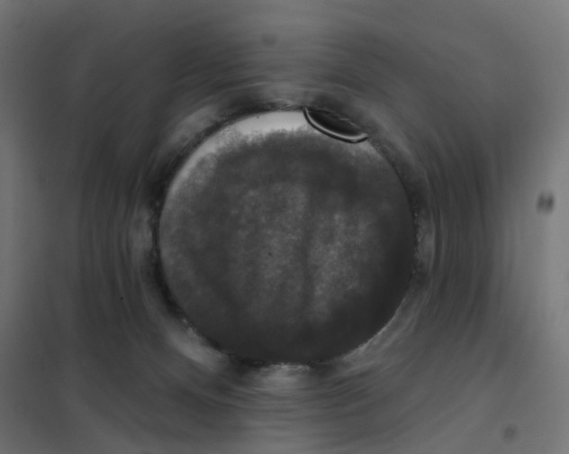 X0000102040128200808081844