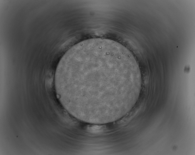 X0000102040129200808081844