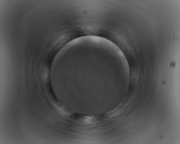 X0000102040130200808081844