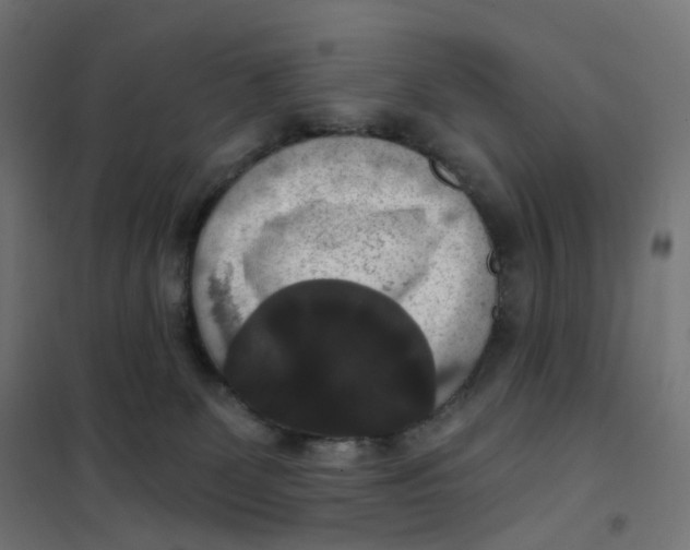 X0000102040131200808081844