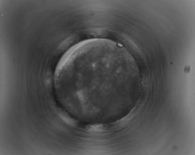 X0000102040132200808081844