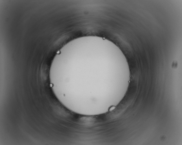 X0000102040133200808081844