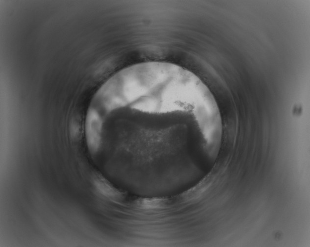 X0000102040134200808081844