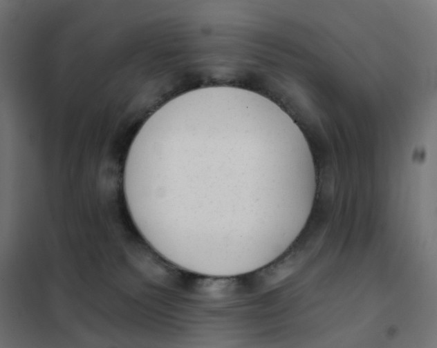 X0000102040135200808081844