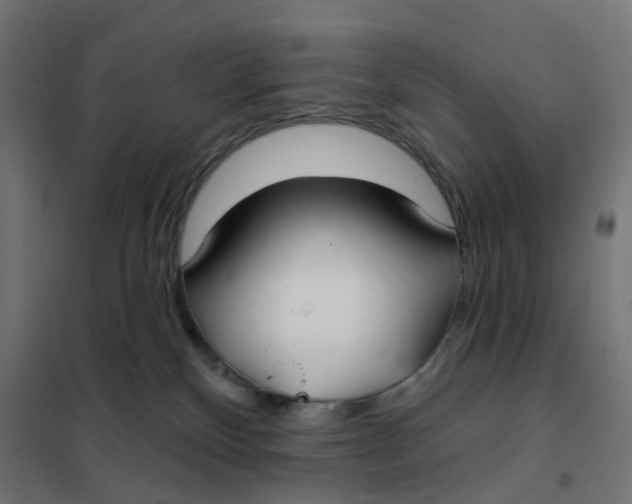 X0000102040136200808081843