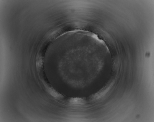 X0000102040137200808081843