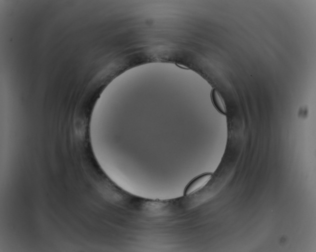 X0000102040139200808081843