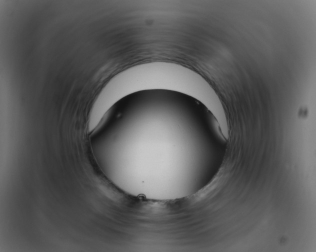 X0000102040140200808081843