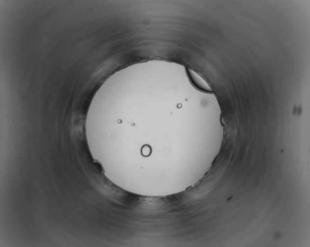 X0000102040141200808081843