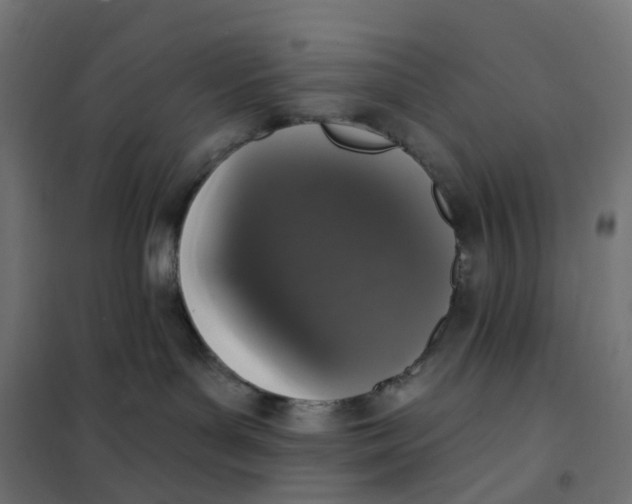 X0000102040143200808081843