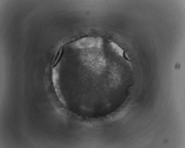 X0000102040144200808081843