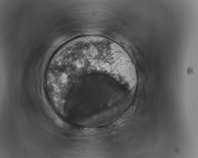 X0000102040145200808081843