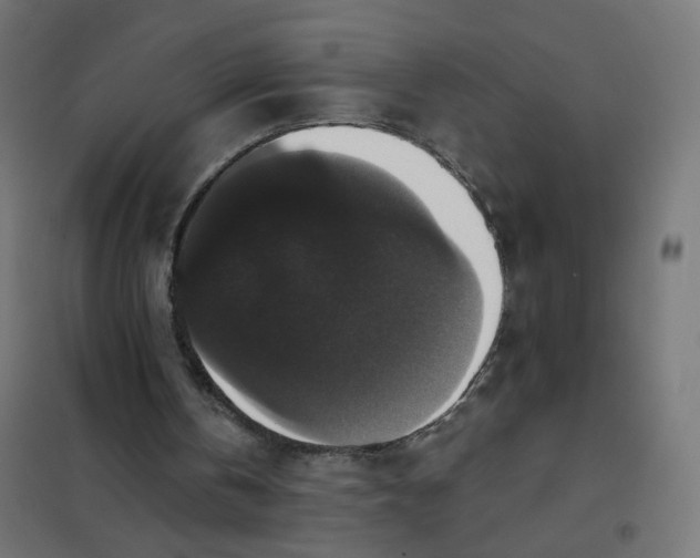 X0000102040146200808081843