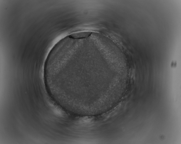 X0000102040148200808081843