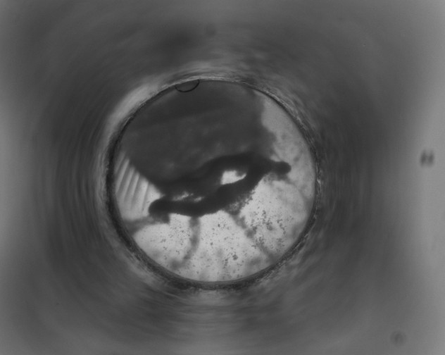 X0000102040149200808081843