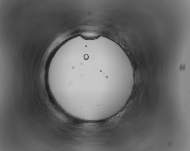 X0000102040150200808081843