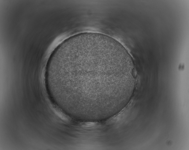 X0000102040151200808081843