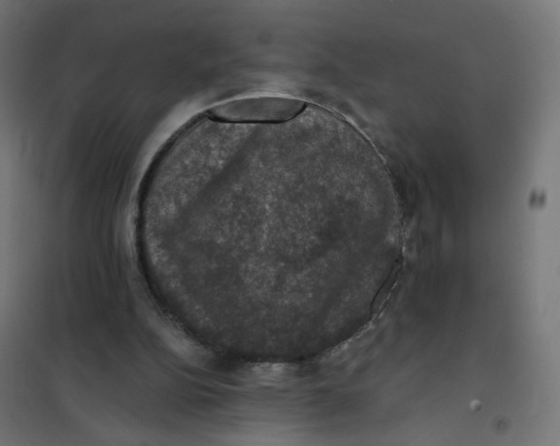 X0000102040152200808081843