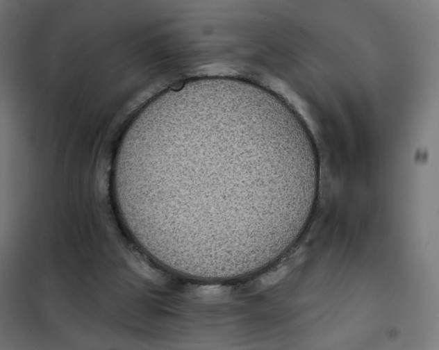 X0000102040153200808081843