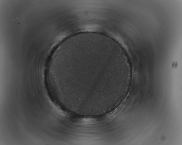 X0000102040154200808081843