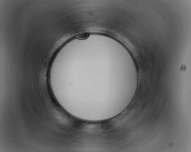 X0000102040155200808081843