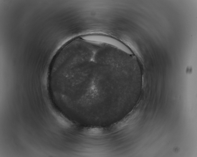 X0000102040156200808081843