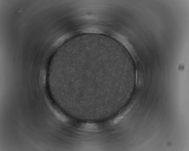 X0000102040157200808081843