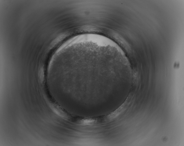 X0000102040158200808081843