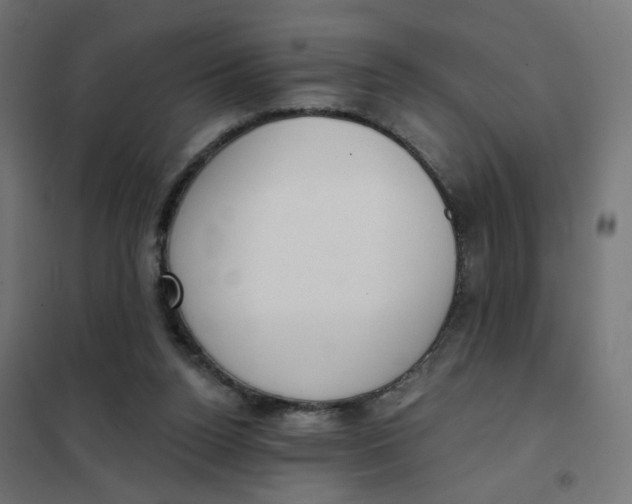 X0000102040160200808081843