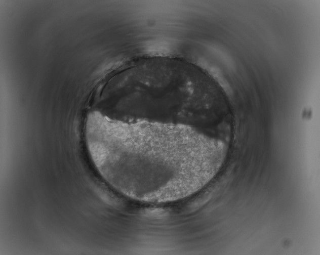 X0000102040161200808081843