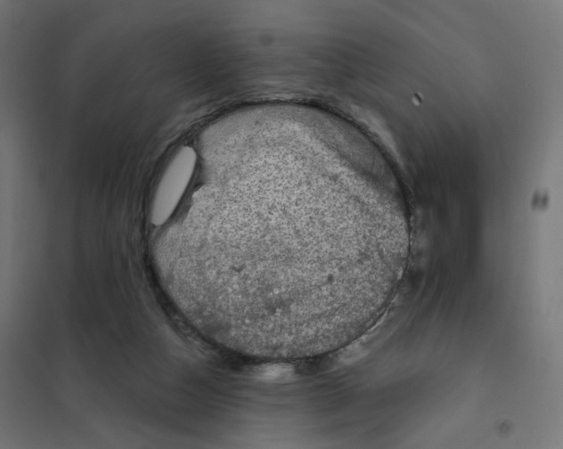 X0000102040162200808081843