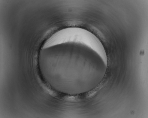 X0000102040163200808081843