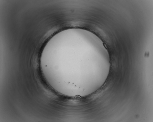 X0000102040164200808081843