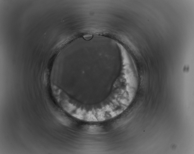 X0000102040165200808081843