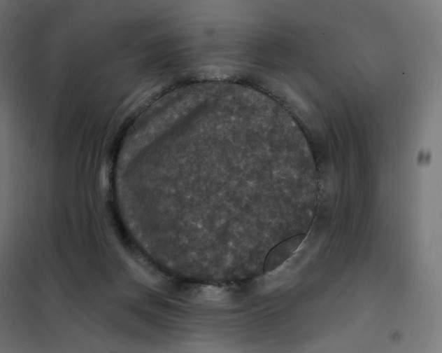 X0000102040166200808081843