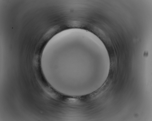 X0000102040167200808081843