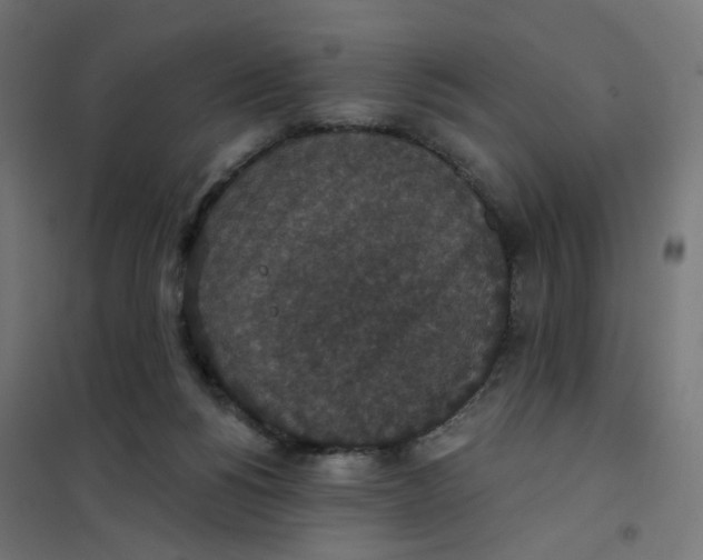 X0000102040168200808081843