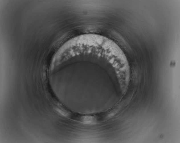 X0000102040169200808081843