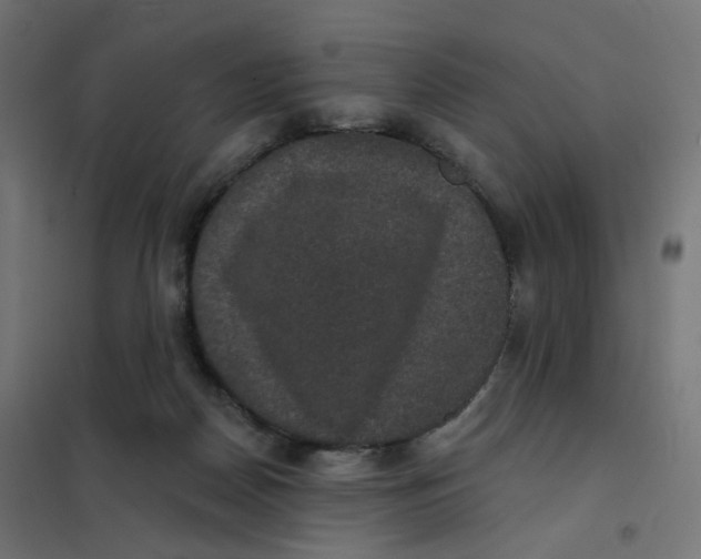 X0000102040170200808081843