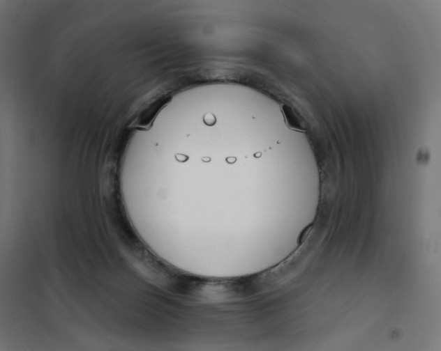 X0000102040171200808081843