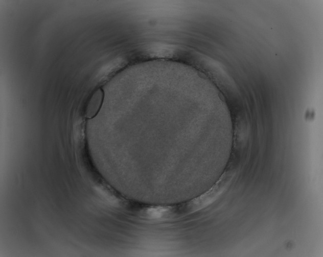 X0000102040172200808081843