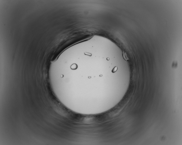 X0000102040173200808081843