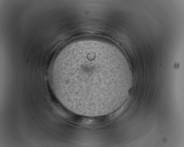 X0000102040174200808081843