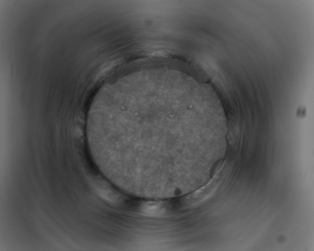 X0000102040175200808081843