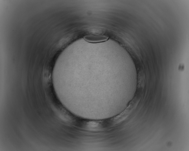 X0000102040176200808081843